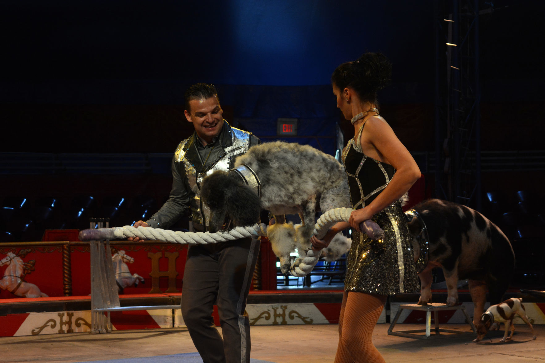 051918-bara-news-circus9